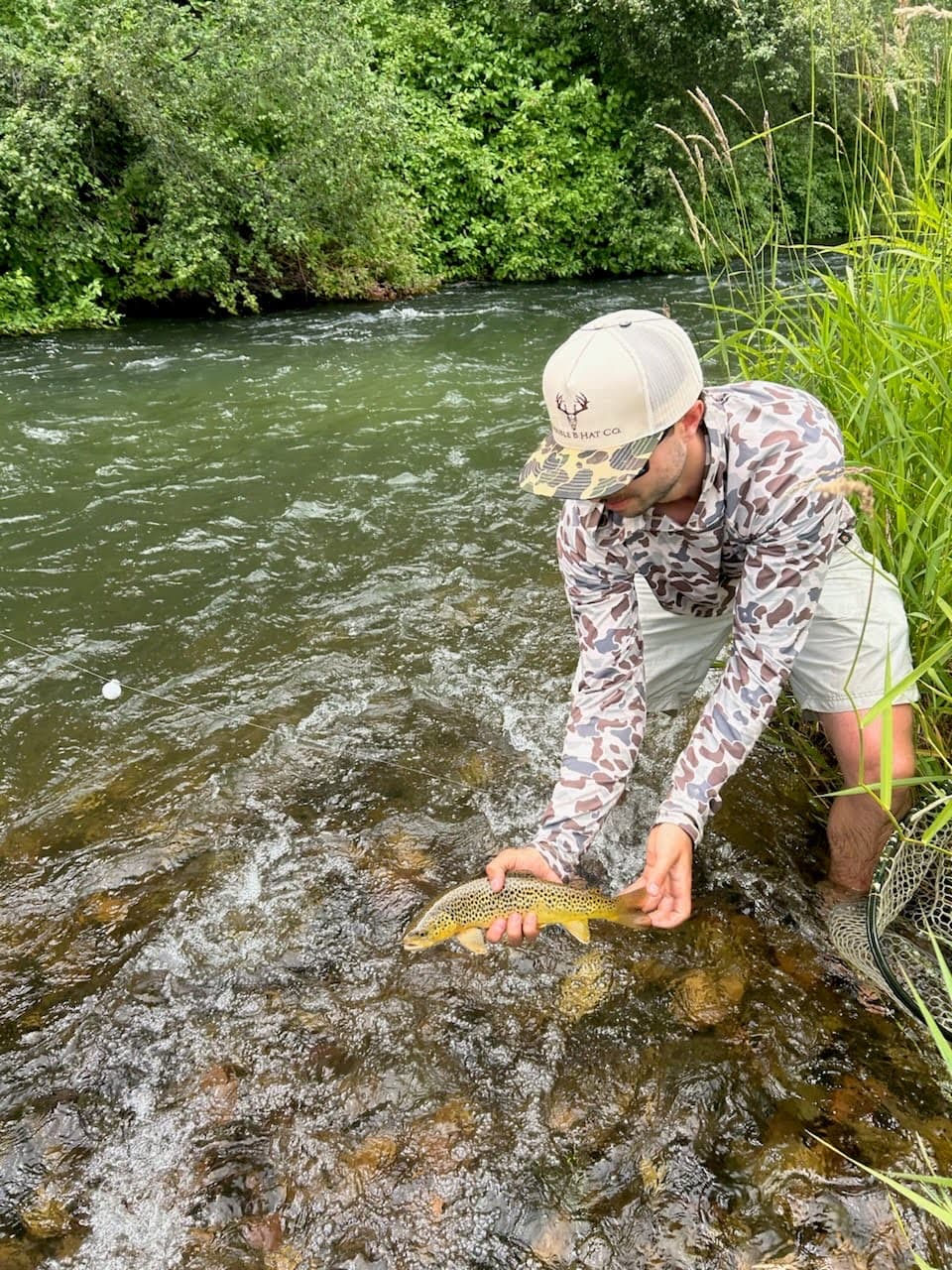 Releasing a brown trout back into the river
